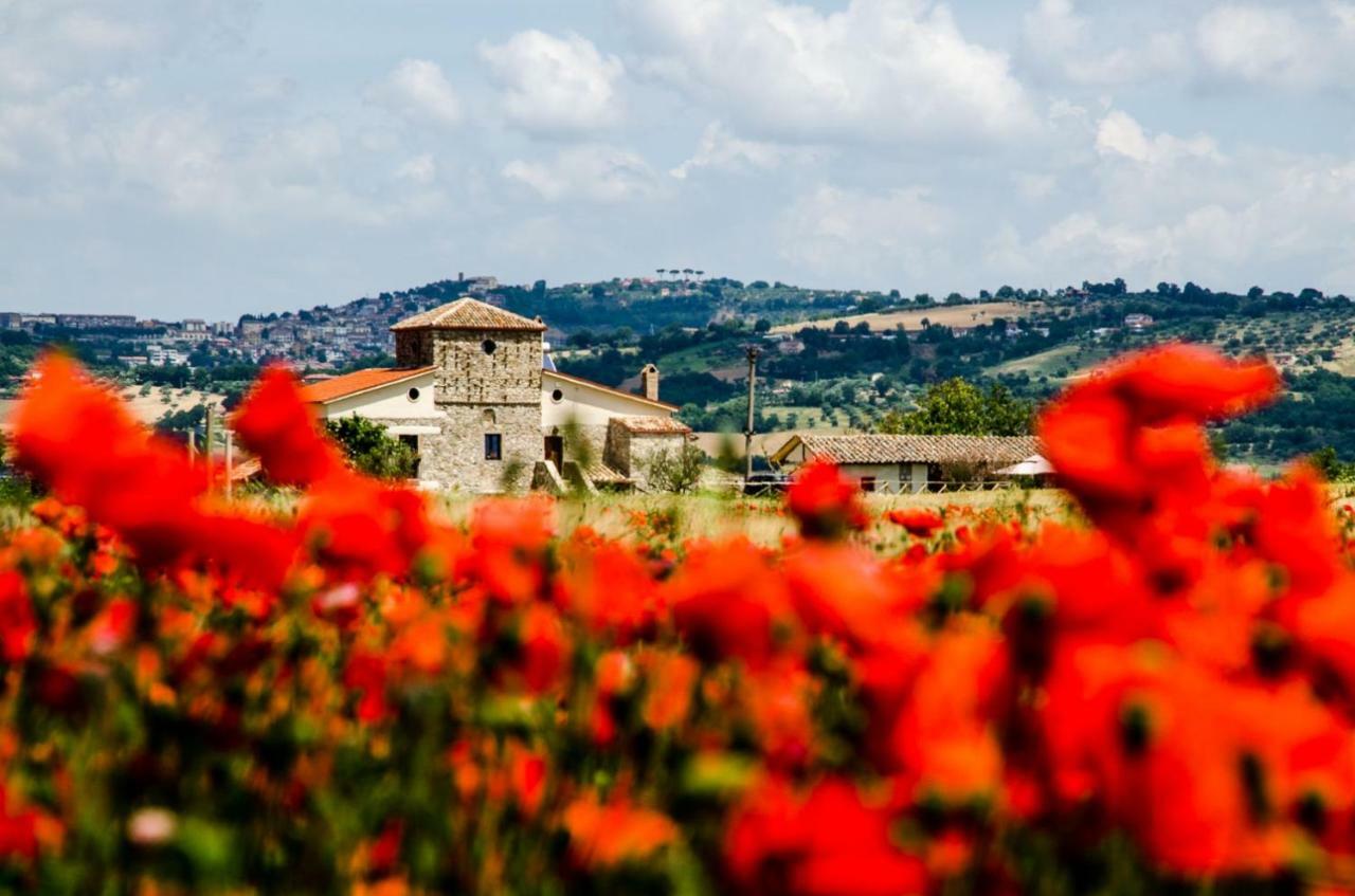 San Giorgio del Sannio Country Relais La Torretta Baronale旅馆 外观 照片